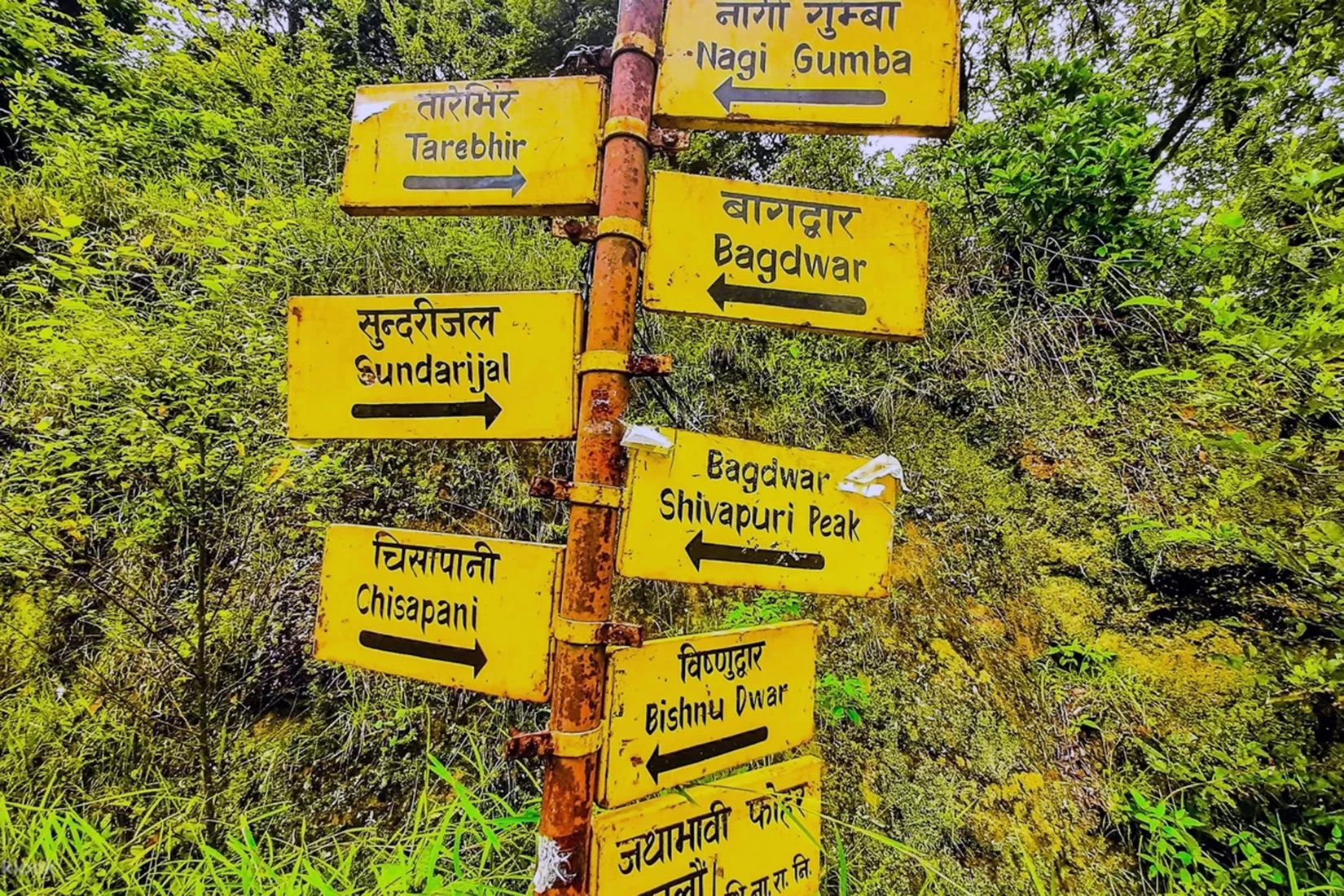 Shivapuri Chisapani Nagarkot Namobuddha Hike