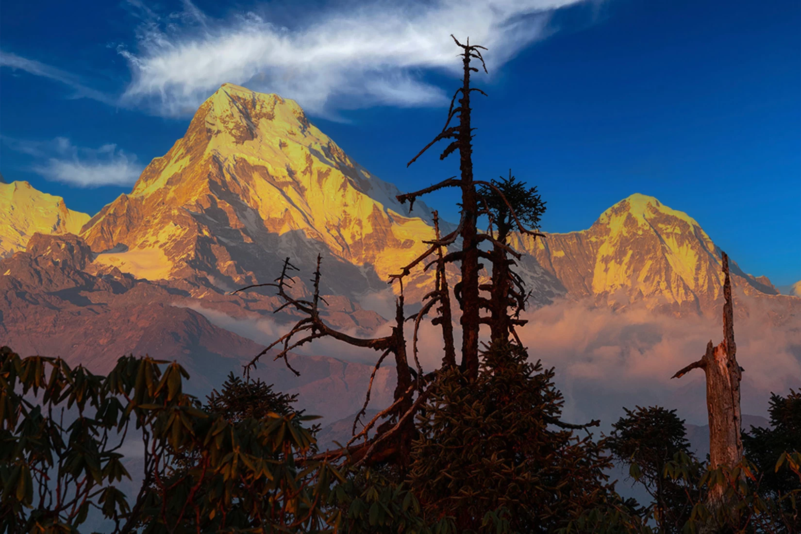 Discover the Serene Beauty of Kokhe Danda Trek